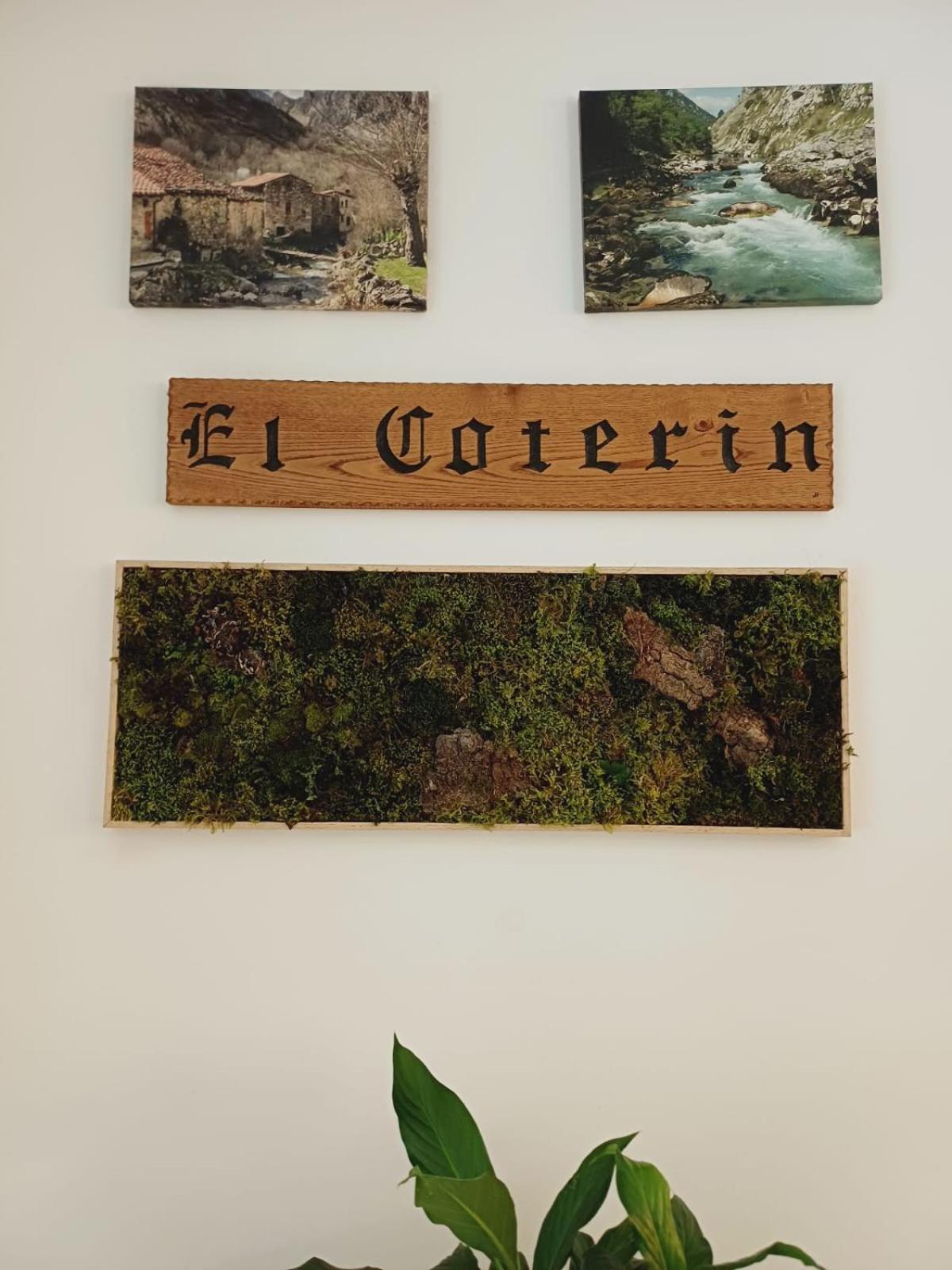 Hotel El Coterin Apartamentos Y Habitaciones Arenas De Cabrales Eksteriør billede